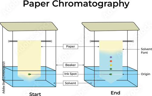Paper Chromatography A Visual Guide to Separation Techniques Vector Illustration