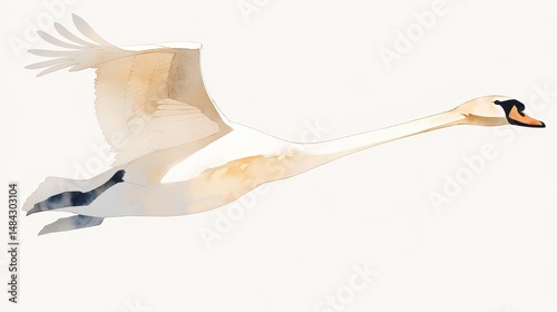 A graceful swan in flight, a simple ink painting style on a white background, with clean lines and shapes reminiscent of traditional Chinese landscape paintings. The swan's posture is elegant,