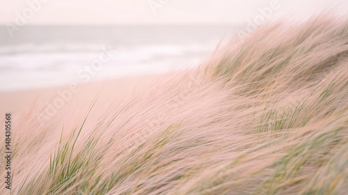 Pink Beach Grass in Gentle Breeze, Soft Ocean Background
