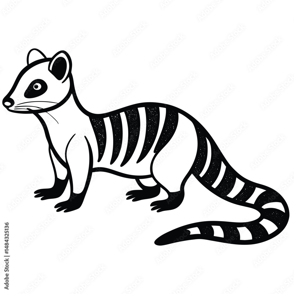 Fototapeta premium Mongoose vector illustration white background