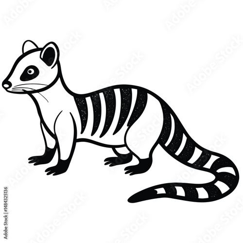 Mongoose vector illustration white background