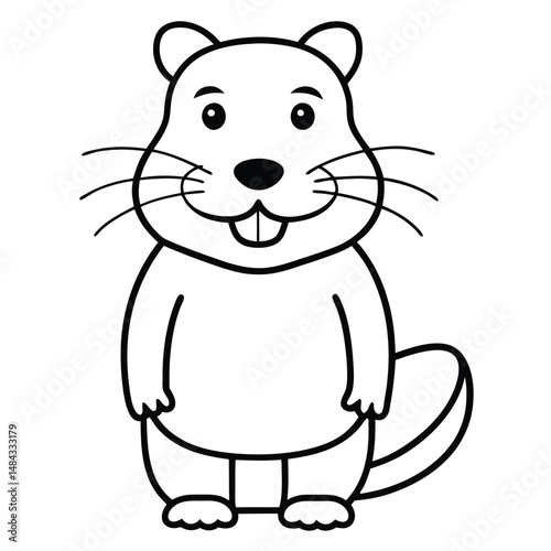 North American Beaver illustration white background