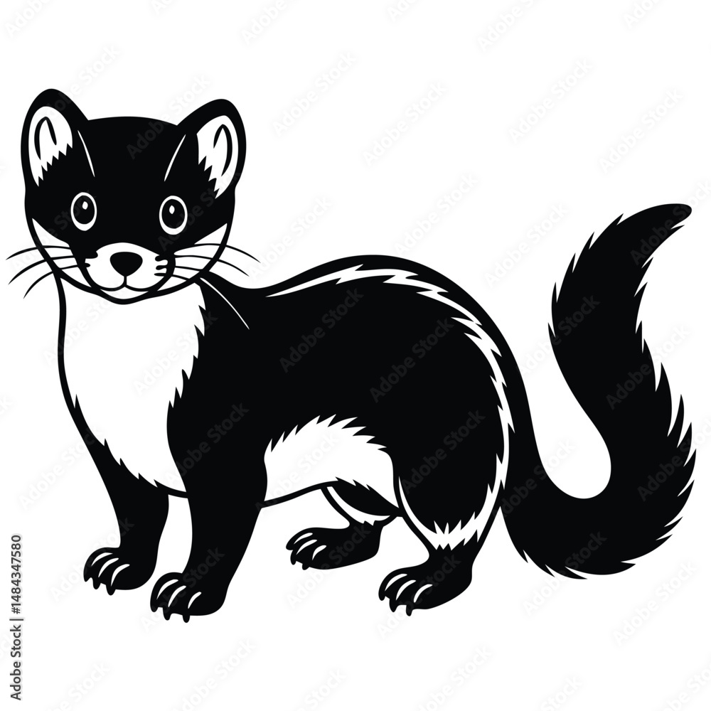 Obraz premium Pine Marten vector illustration white background
