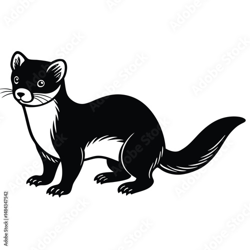 Pine Marten vector illustration white background