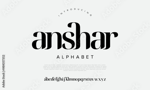 Modern display serif font with bold curves and contemporary flair, perfect for branding and headlines