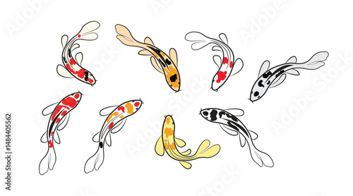 Set of colorful koi fish drawings in different poses on white background isolated. Vector illustration. Koi fish illustration.