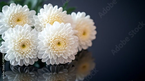 a bouquet of white chrysanthemum flowers