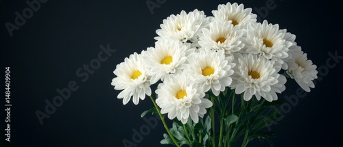 a bouquet of white chrysanthemum flowers