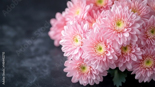 a bouquet of chrysanthemum flowers