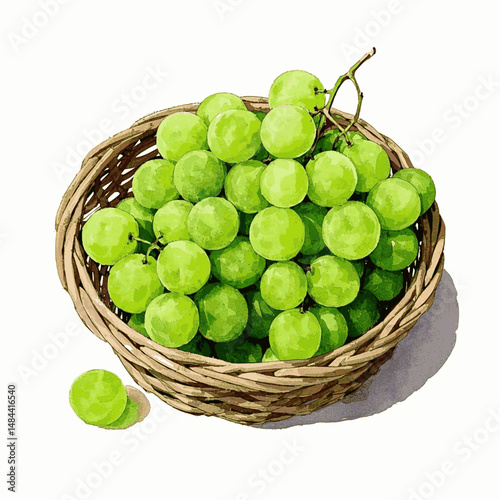 Amethyst Cluster Flow grapes isolated watercolor vector illustration svg