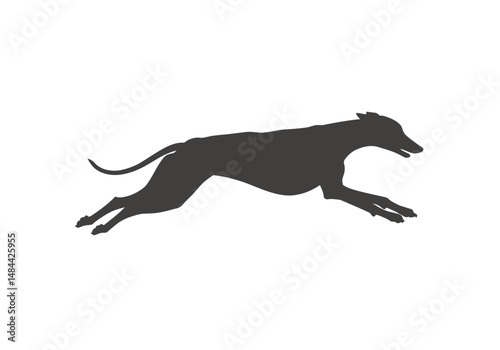 Sleek Greyhound Silhouette in MidStride Dynamic Leap