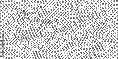 Black snake skin pattern isolated on white background