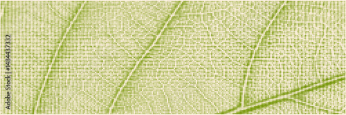 Green leaf halftone texture background. Modern nature overlay print. Vector grain pattern.