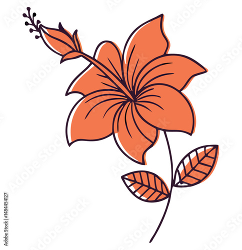 Simplified orange hibiscus flower illustration with outline style on a white background