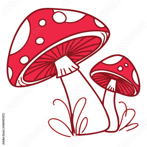 Red and white mushroom illustration two detailed cartoon mushrooms isolated on white background