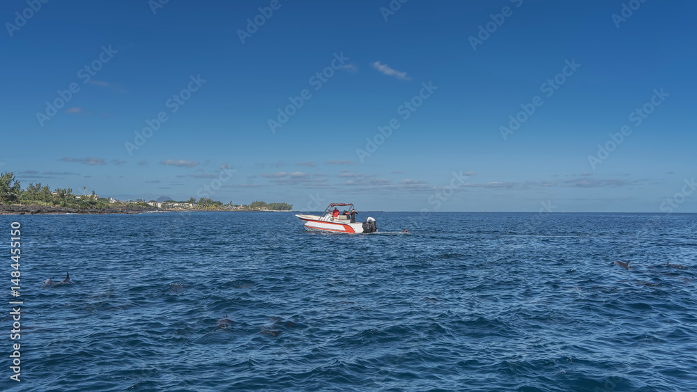 Obraz premium A tourist motorboat in the blue ocean. People are snorkeling, watching dolphins. The backs and dorsal fins are visible above the water. The coast of the island is far away. Azure sky, clouds.Mauritius