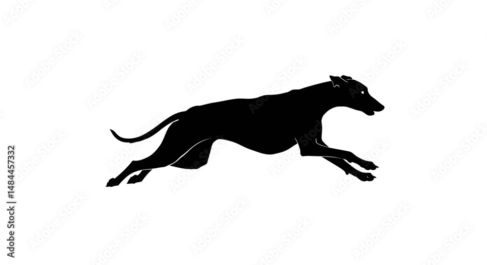 Fototapeta premium Silhouette of a sleek powerful dog leaping forward with focused determination