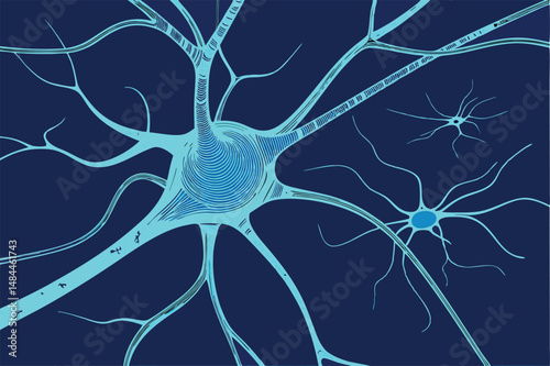 Detailed illustration of a neuron network, highlighting intricate connections.