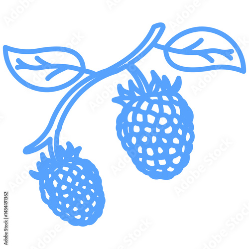 blackberry icon blue