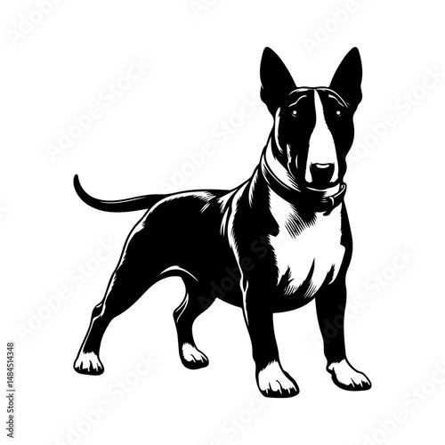 Bull Terrier dog silhouette vector file.