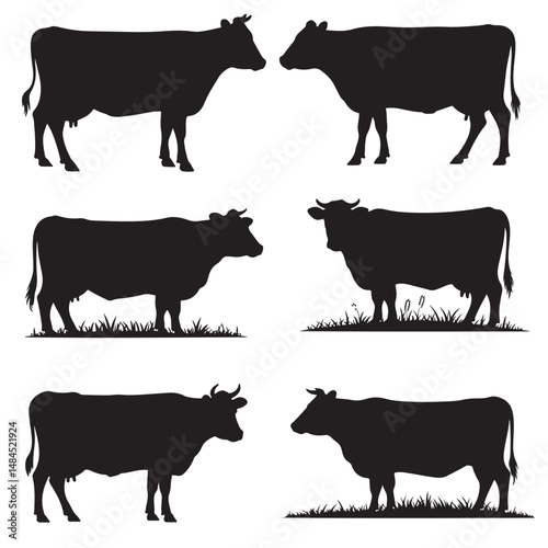 Vector Cow Animals  on Black and White
