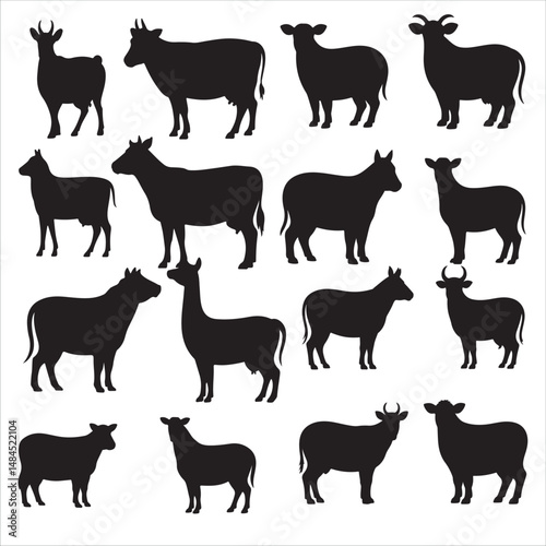 Vector Cow Animals  on Black and White