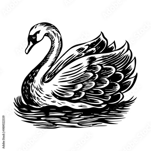 A drawing style icon of a swan floating peacefully