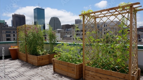 Obraz na płótnie Rooftop garden in an urban setting showcasing vibrant plants and city skyline on a sunny day w salonie