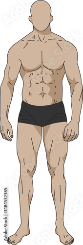 Muscular Male Model in Underwear Full Body Character Vector
