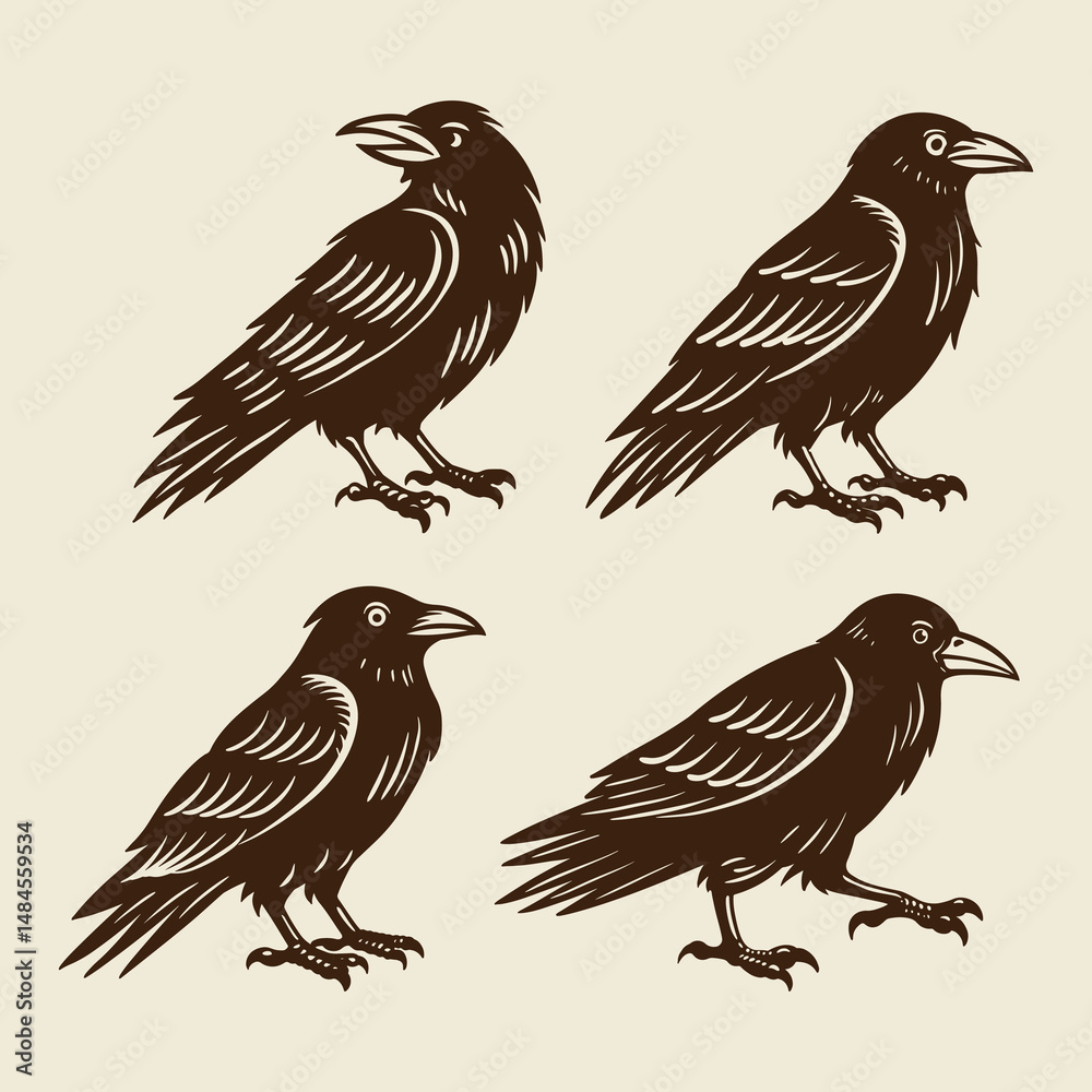 Fototapeta premium Vintage Raven Vector Set, Hand Drawn Crow Illustration Silhouettes