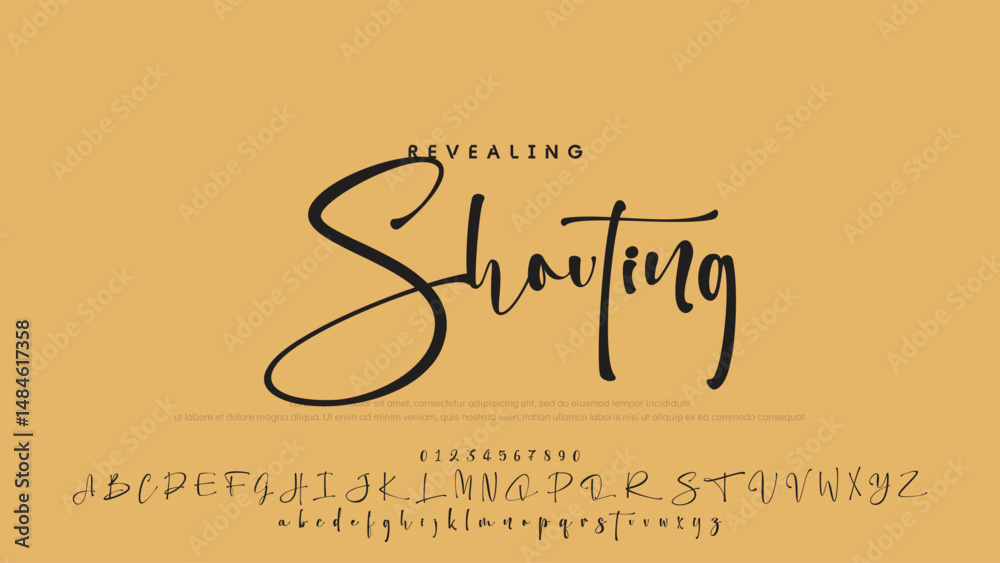 Hand drawn vector alphabet. Modern monoline signature script font. Elegant Signature Font. Best Alphabet Beautiful Calligraphy Signature Font