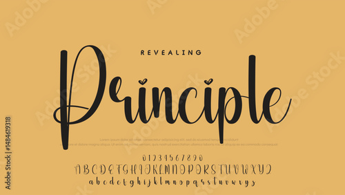 Signature script lettering font.