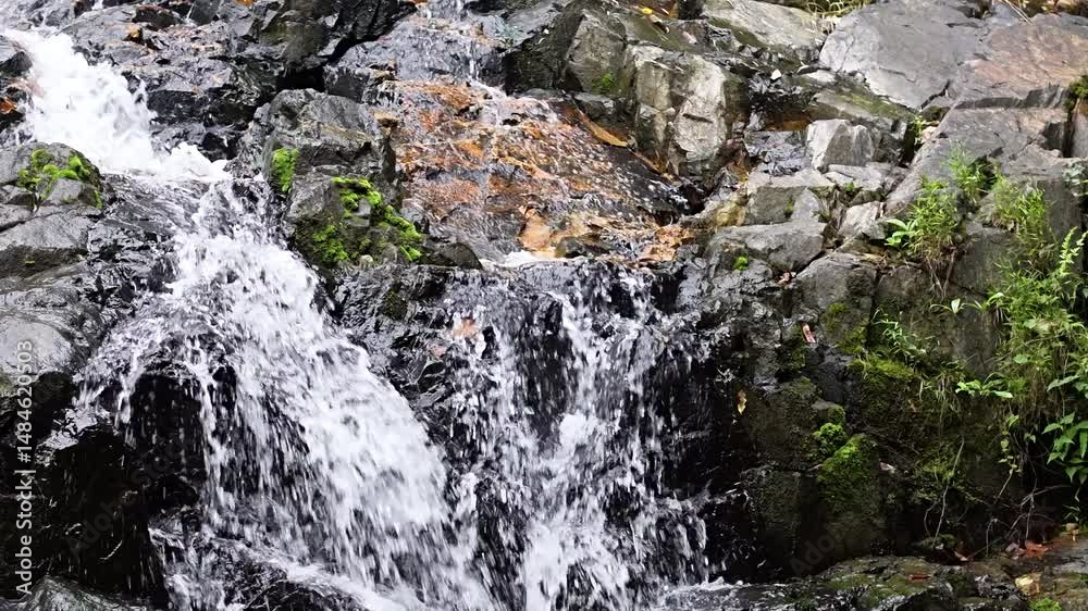 May 10 2025 Siu Chik Sha Waterfall Cascading in Forest Landscape May 10 2025 Siu Chik Sha Waterfall Cascading in Forest Landscape