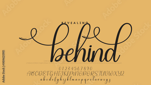 Signature script lettering font.