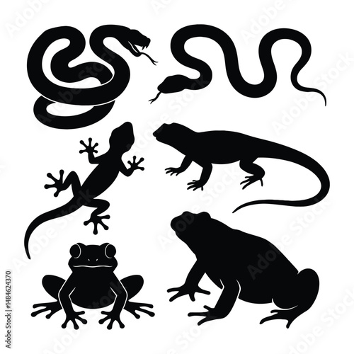 vector illustration of a lizard
