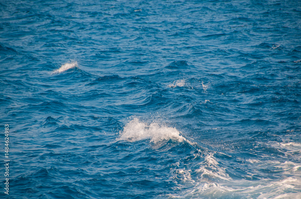 Fototapeta premium Ocean wave water background, Abstract blue sea water.