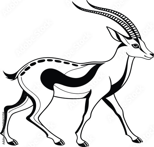vector illustration of a deer
