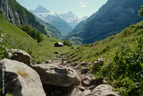 Alpine valley path, mountains and wildflowers