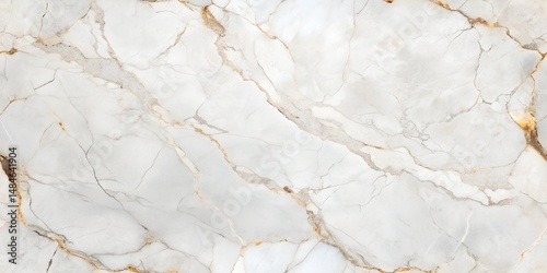 Smooth White Marble Tile With Gray Vein Details