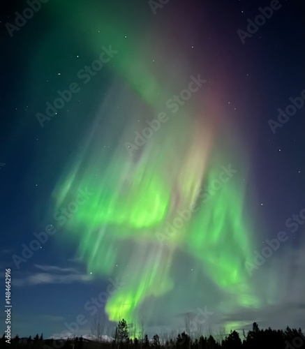 Aurora Borealis Whitehorse Canada 3/8/2025