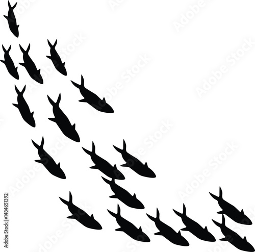 Hand drawn sea bass fish illustration. Woodcut engraved style etching vector EPS 