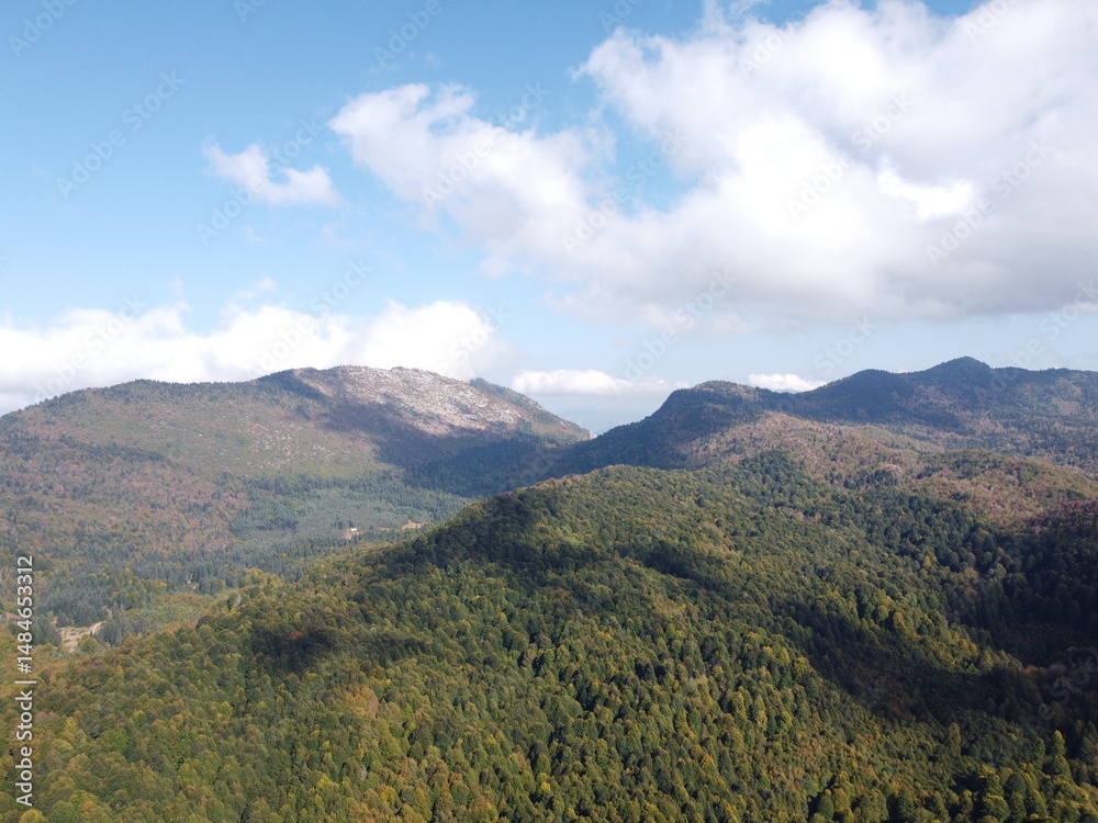 Obraz premium Plateau in autumn