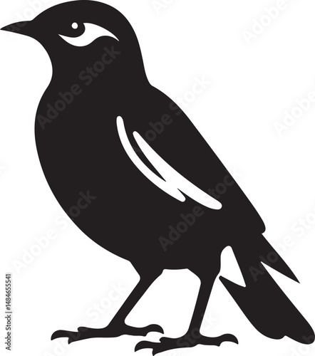 Myna Bird Black Silhouette Vector, Exotic Bird Clipart & Wildlife Graphic Design