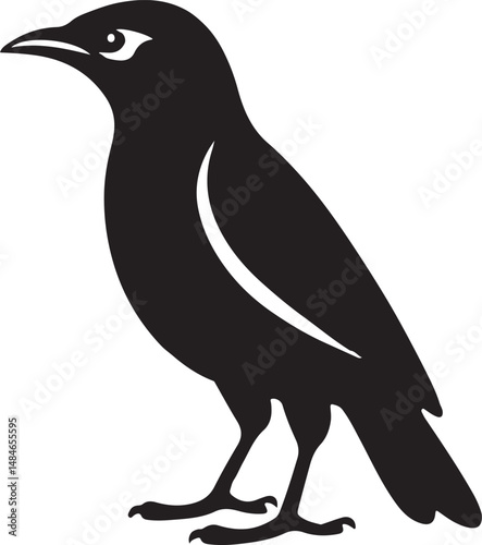 Myna Bird Black Silhouette Vector, Exotic Bird Clipart & Wildlife Graphic Design