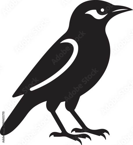 Myna Bird Black Silhouette Vector, Exotic Bird Clipart & Wildlife Graphic Design