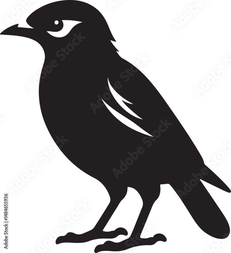 Myna Bird Black Silhouette Vector, Exotic Bird Clipart & Wildlife Graphic Design