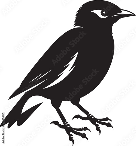 Myna Bird Black Silhouette Vector, Exotic Bird Clipart & Wildlife Graphic Design
