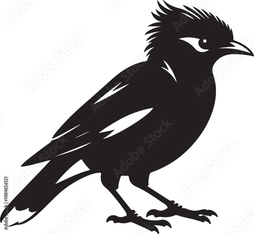 Myna Bird Black Silhouette Vector, Exotic Bird Clipart & Wildlife Graphic Design