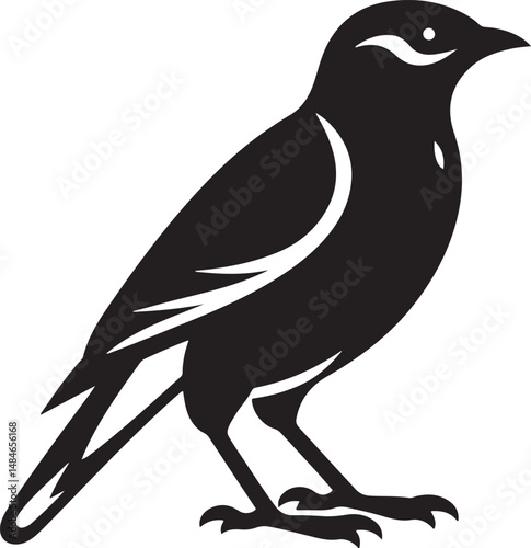 Myna Bird Black Silhouette Vector, Exotic Bird Clipart & Wildlife Graphic Design