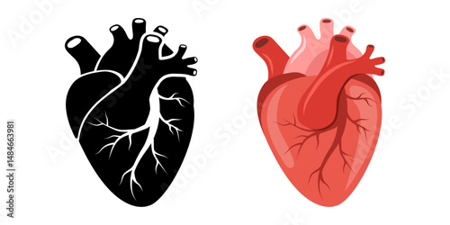 Human heart icon. Red and black Internal organ. Cardiology and anatomy concept. Medical Vector illustration in flat cartoon style.
